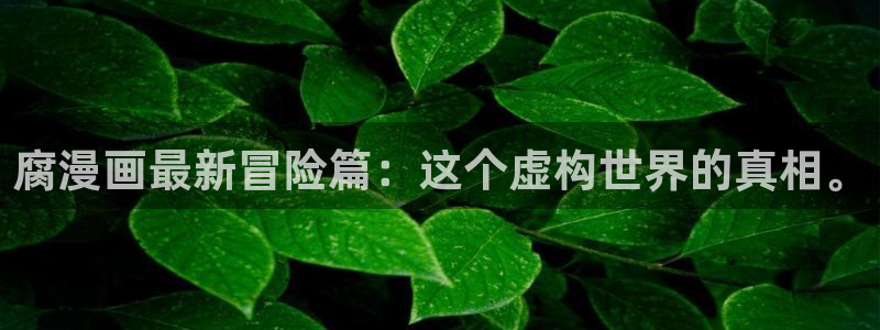 yy漫画是什么：腐漫画最新冒险篇：这个虚构世界的真相。
